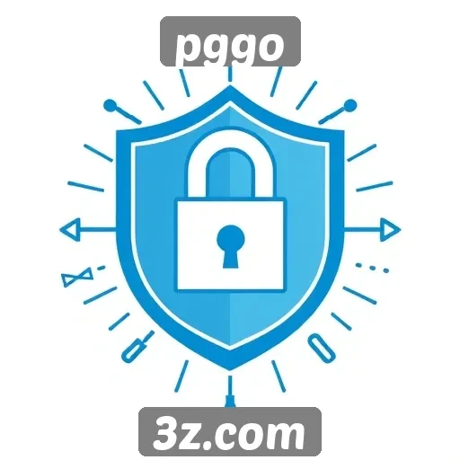 segurança e privacidade dos usuários no pggo discutidos